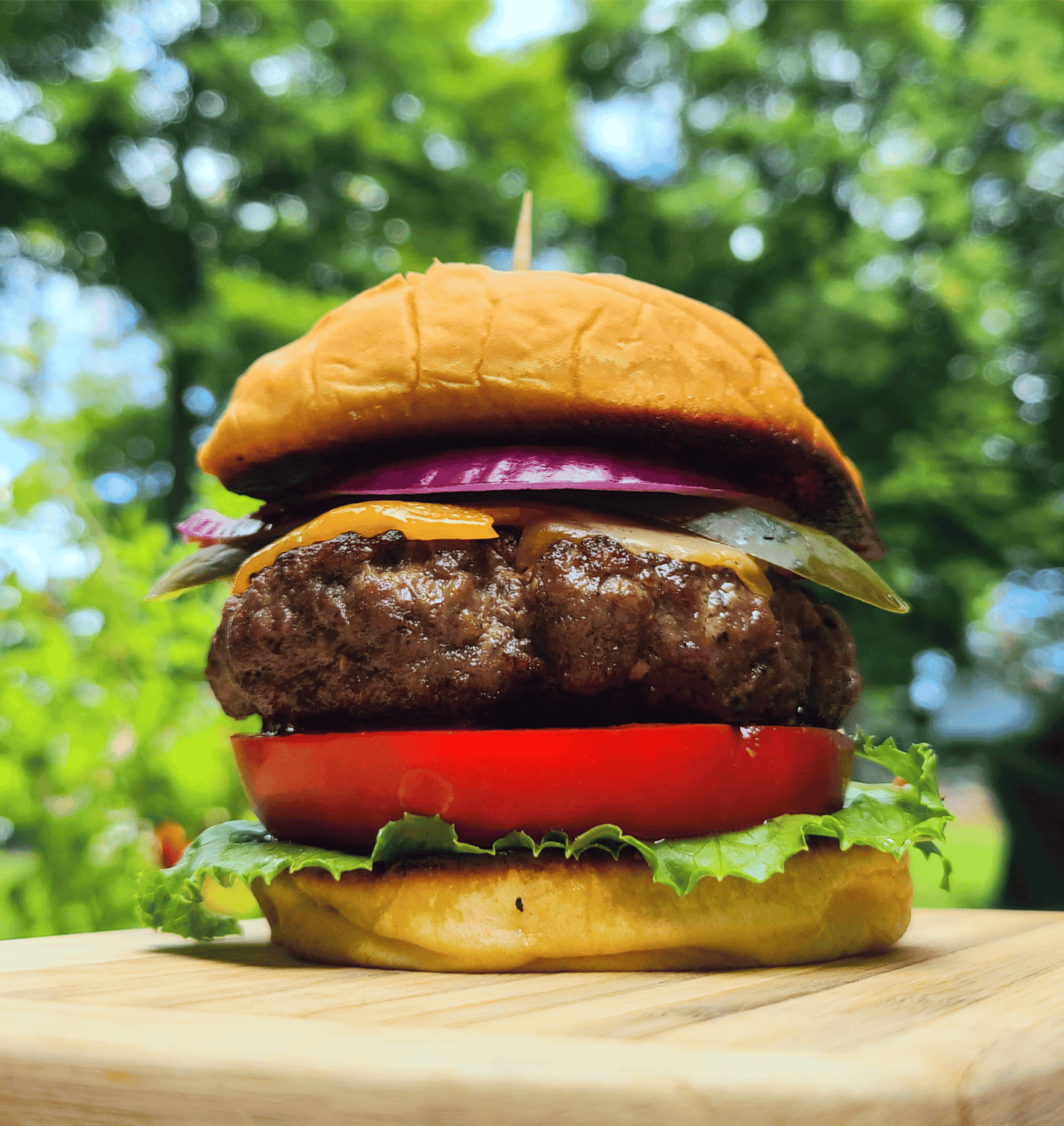 Juicy bison burger with red onion, pickles, cheddar cheese, big tomato slice and lettuce.
