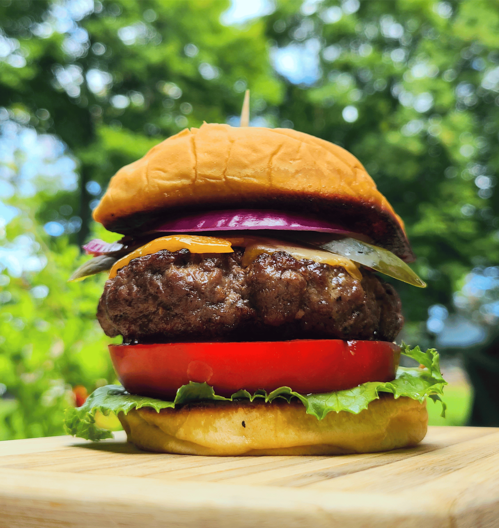 Juicy bison burger with red onion, pickles, cheddar cheese, big tomato slice and lettuce.